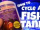 How to cycle a fish tank